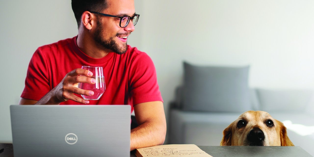 a man on the couch working from a laptop with a dog sitting beside him