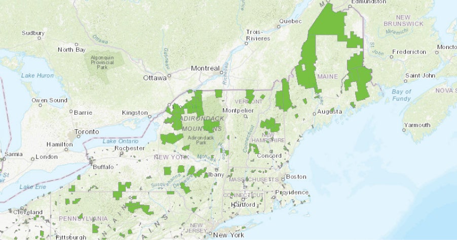 a map labeling "food desert" areas in the northeast US