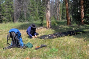 A single hiker is setting up a tent at a clearing in the forest.