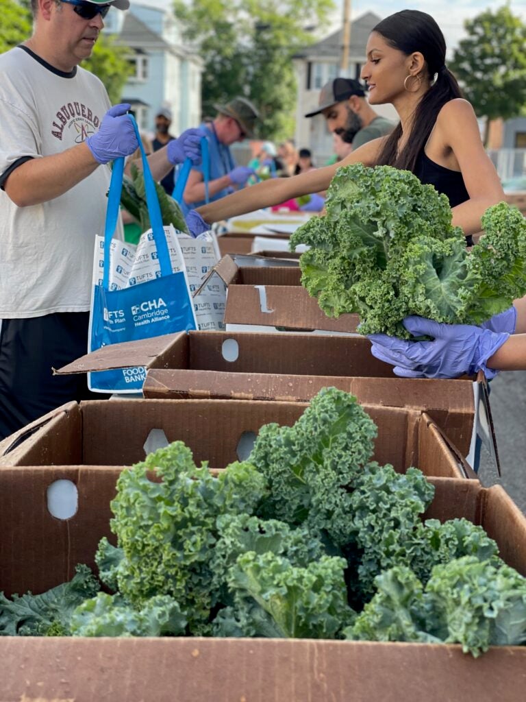 A line of volunteers handing community members bags of fresh fruits and vegetables at an outdoor mobile food market. 