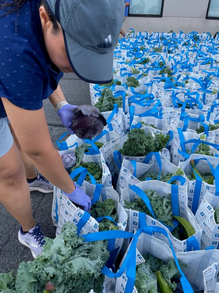 A person wearing a grey baseball cap and comfortable clothing bends down to place a bag of fresh fruits and vegetables in a group of other bags at an outdoor mobile food market. 