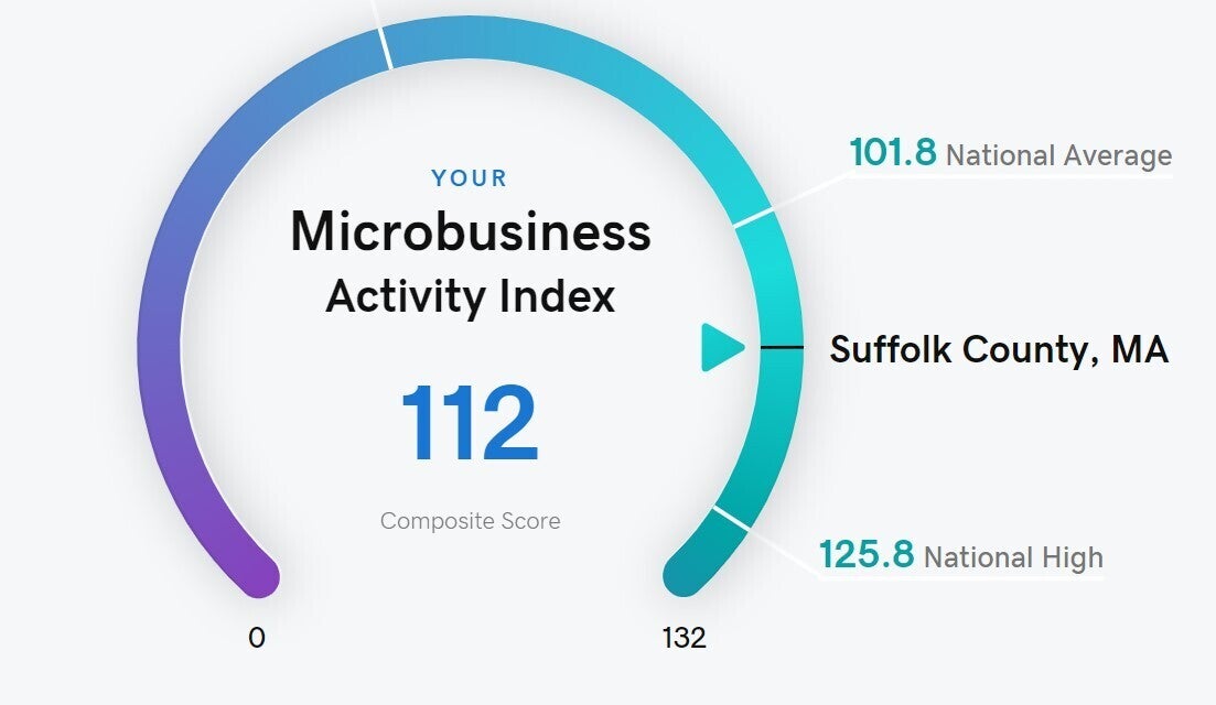 Purple, blue, and green gradient ring graphic of microbusiness activity index