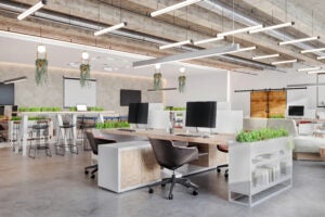 Modern green office featuring open floor plan, plants, and LED lights