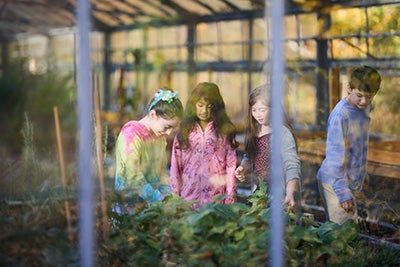 Students looking at plants in a greenhouse.