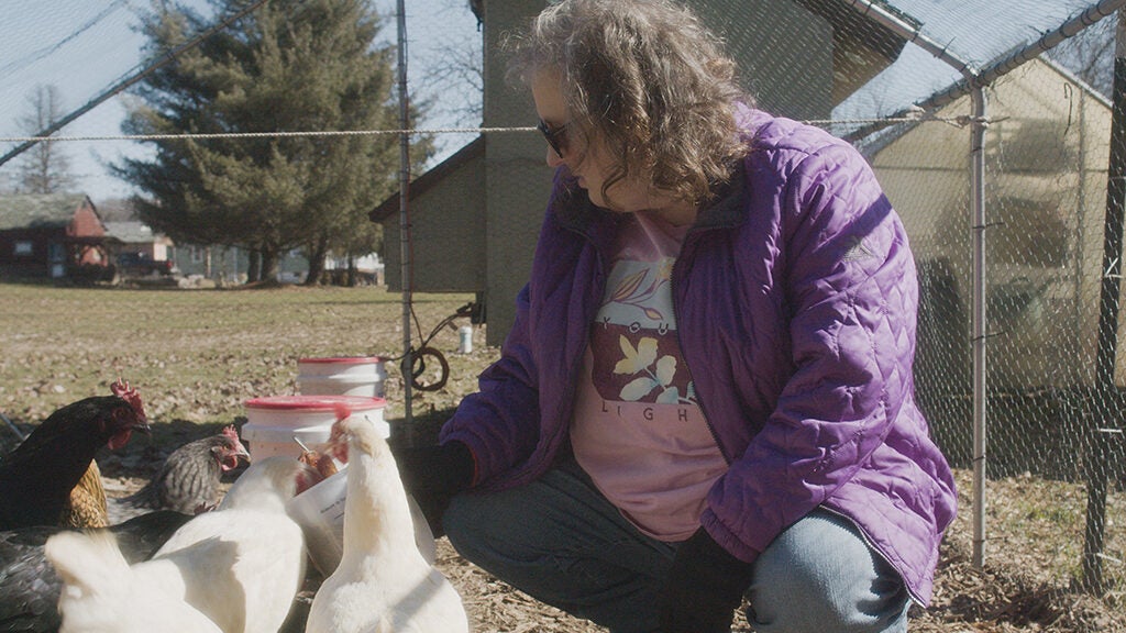 Woman wearing purple jacket crouching down to feed four chickens.