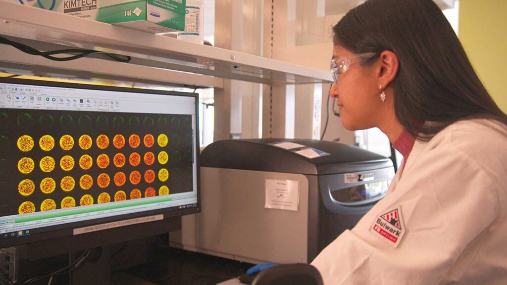 Woman wearing protective glasses and lab coat looks at the computer screen of scientific research.