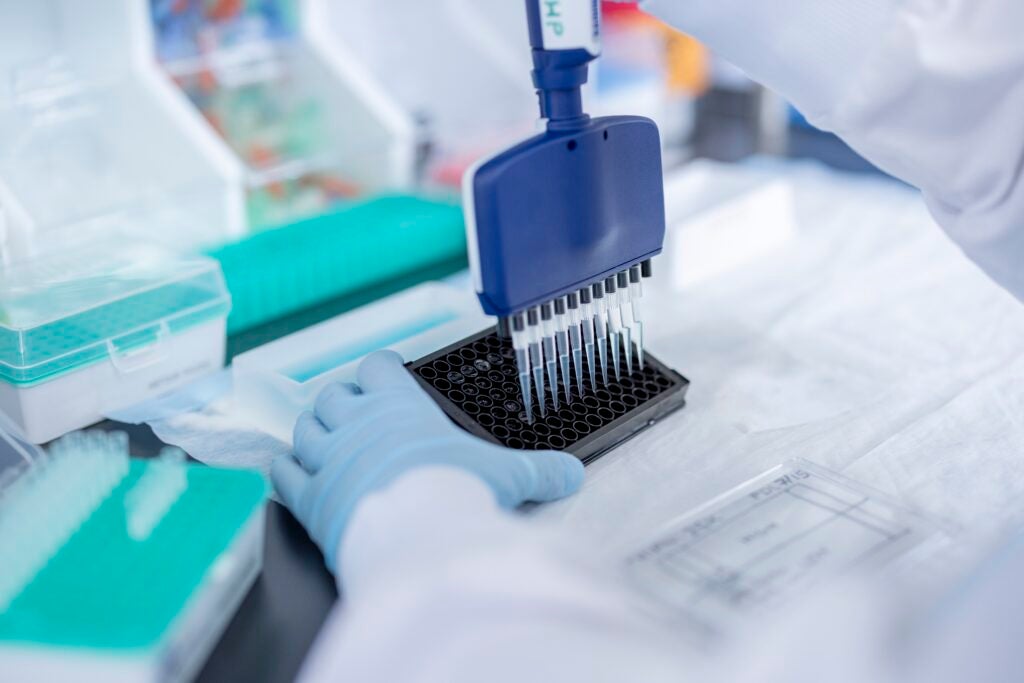 Close-up of a scientist's gloved hands adjusting a lab sample. 