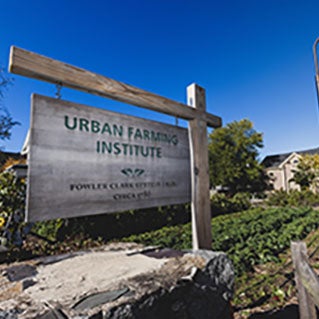 Brighter futures: The Urban Farming Institute grows Bostonians’ food access and well-being