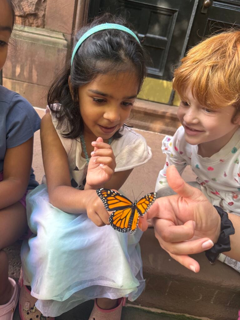 Toddlers inspecting a butterfly's wings 