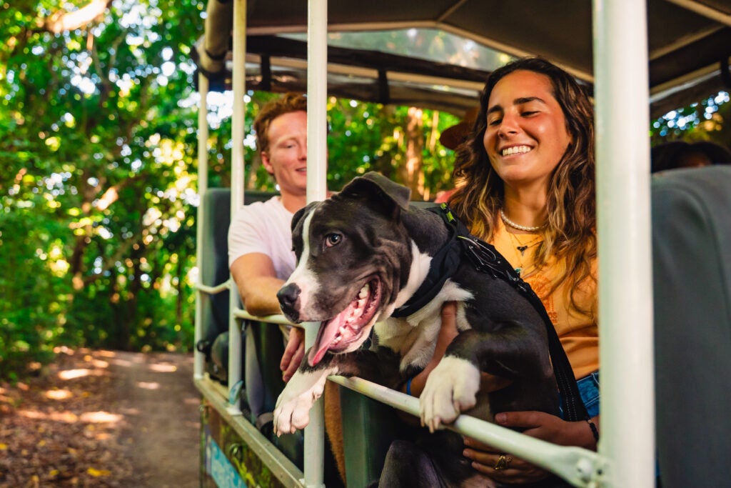 Dog and smiling teenagers on a windowless bus